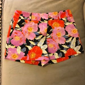 Ann Taylor LOFT The Riviera Short